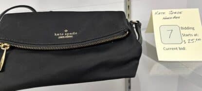 Item #7: Kate Spade Handbag