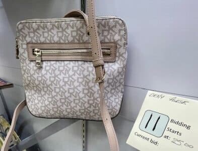 DKNY purse