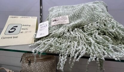 Churchill Weavers throw