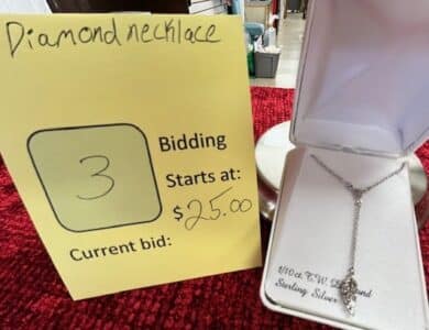 3 Diamond Knecklace