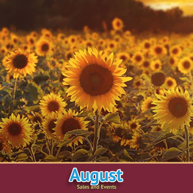 St Vincent de Paul, Ozaukee County August sales and events calendar.