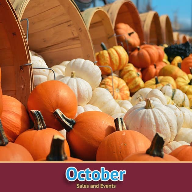 St Vincent de Paul, Ozaukee County October sales and events calendar.