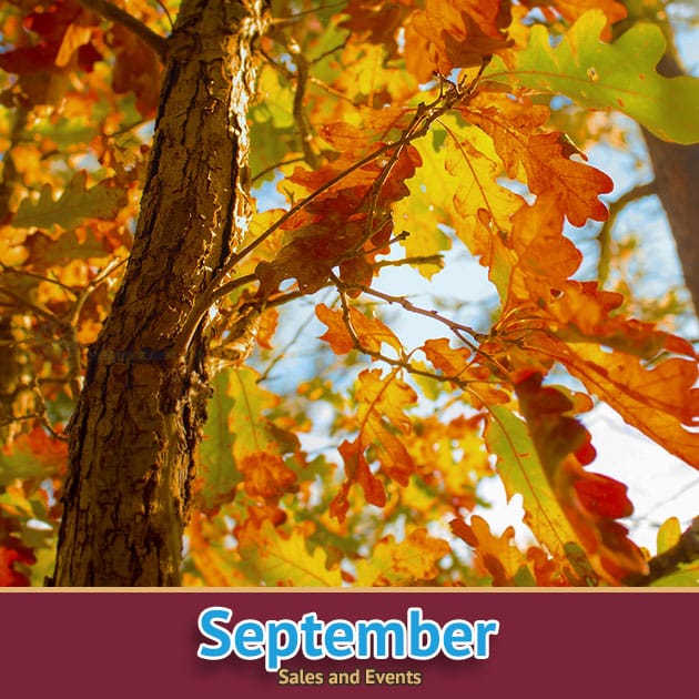 St Vincent de Paul, Ozaukee County September sales and events calendar.